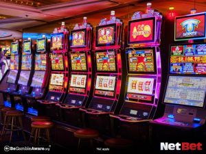 zzzz|Bingo Online com Mais de 1000 Slots – Descubra Agora